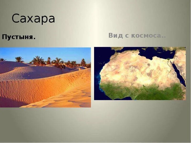 На каком континенте находится пустыня. Пустыня сахара на атласе. расположение пустыни сахара. география (сахара). слайд пустыни – сахара,.
