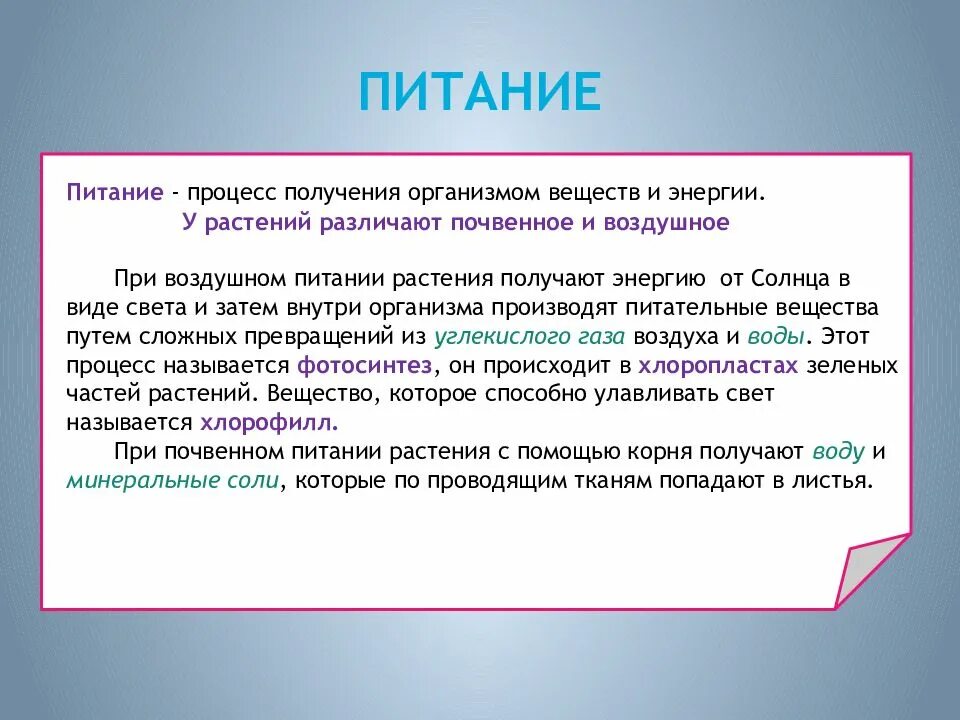 Изменение организмами в процессе жизнедеятельности. Процессы жизнедеятельности. Жизнедеятельность организмов. Процессы жизнедеятельности живых организмов. Процессы жизнедеятельности организмов 5 класс.