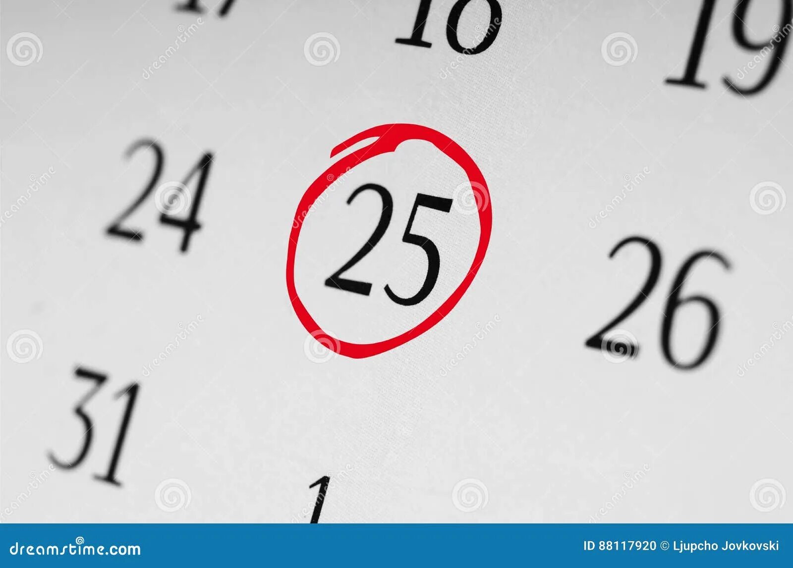 Какое число 25 мая. Календарь числа. календарь 25. изображения календаря цифры. 25 число.