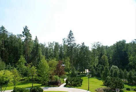 Ландшафт 22