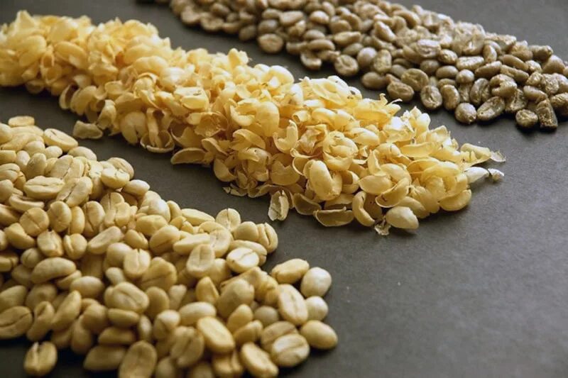 сушка зерна. очищенного зерна. голозерный ячмень фуражный. сусло затирание сусла. воздушно-решётный сепаратор julite 5xfs-10с.