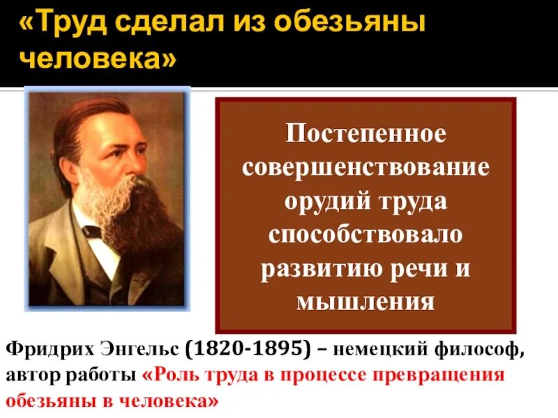 Роль труда в процессе превращения обезьяны в человека. Труд создал человека Энгельс. Энгельс роль труда в процессе превращения обезьяны в человека.