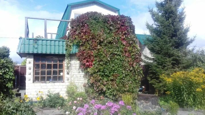 Продам сад в СНТ Авиатор-2 в Челябинске