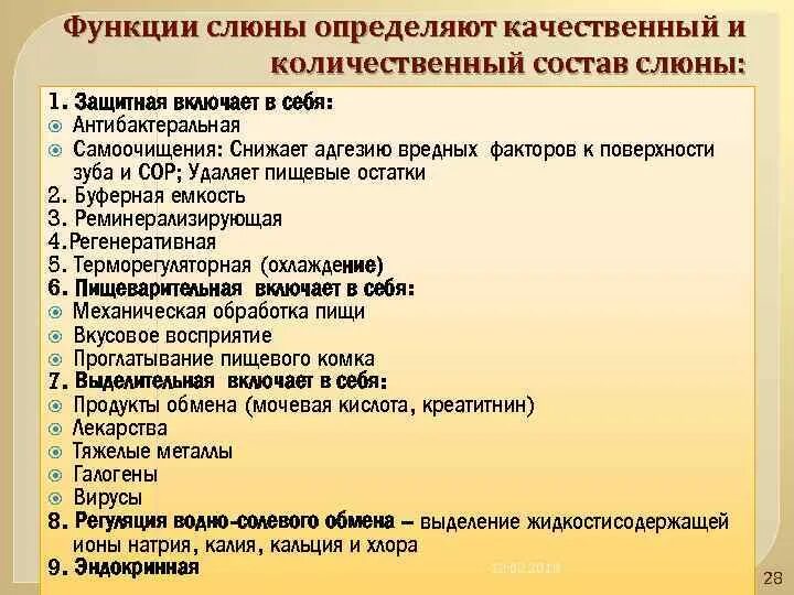 Функции слюны. Функции слюны