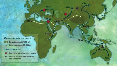 Sapiens перевод