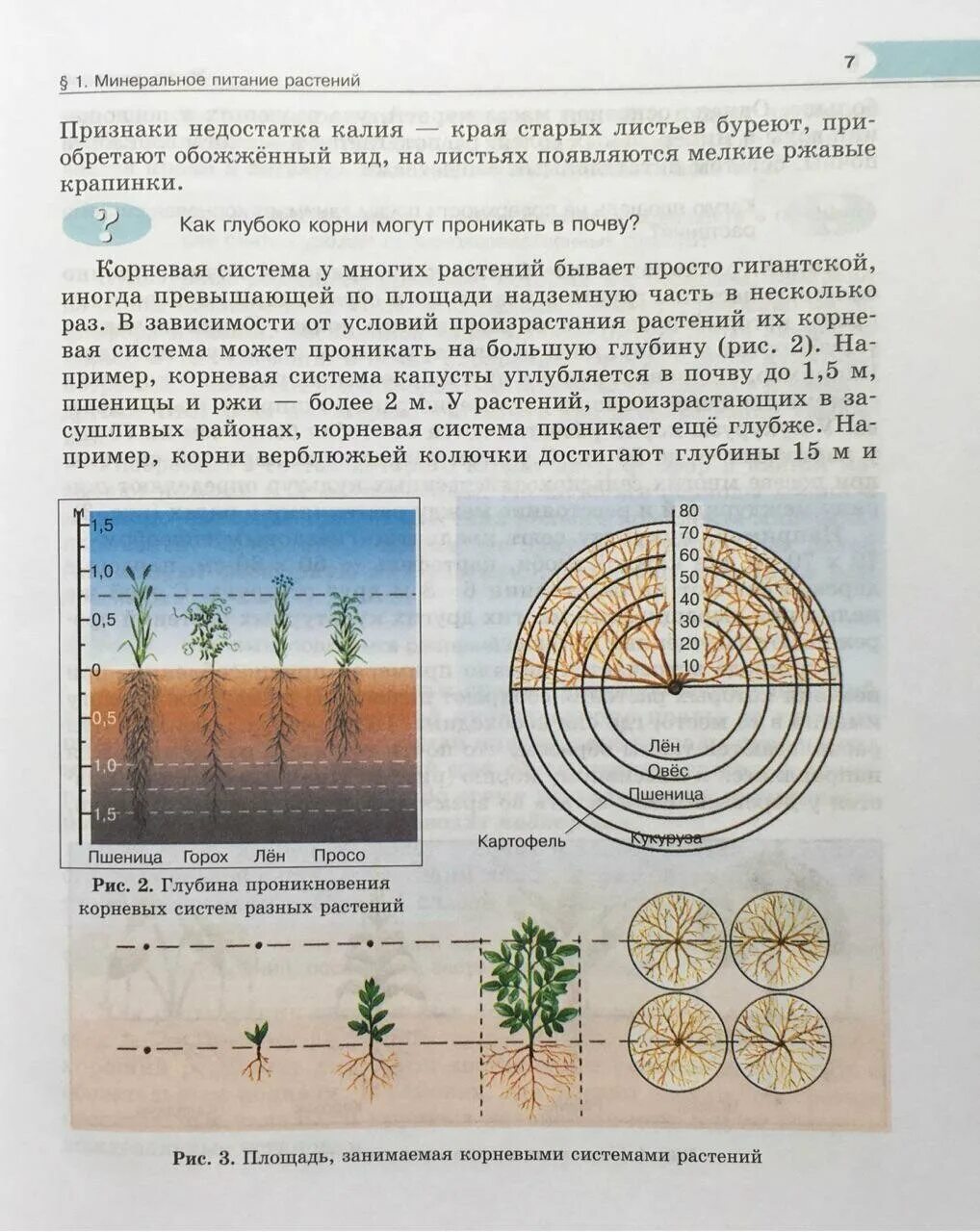 Биология 6 класс учебник трайтак