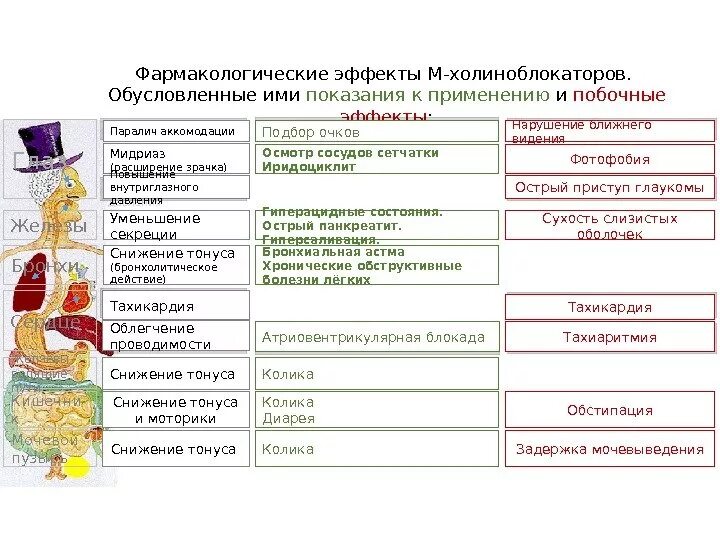 К группе холиноблокаторов относятся. Эффекты м холиноблокаторов таблица. Фармакологические эффекты м-холиноблокаторов таблица. Нежелательные эффекты мхолиноблакаторов. М-холиноблокаторы основные эффекты.