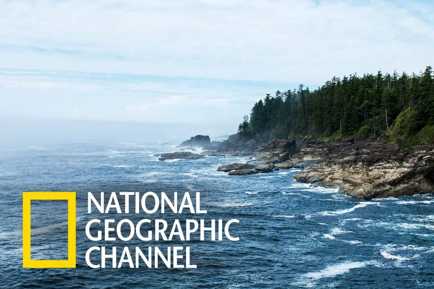 Nat geo программа. Канал national geographic. national geographic channel телеканал. national geographic chanel телеканал. логотип телеканала national geographic.