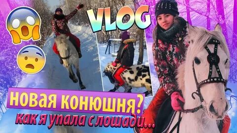 Дневник коноблогера