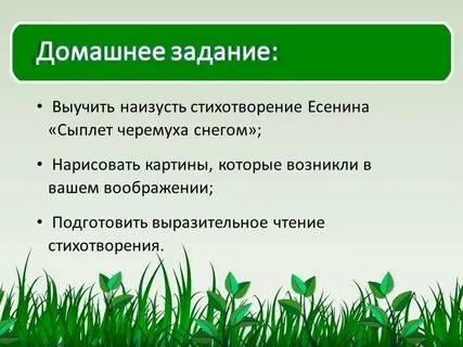 Сыплет черемуха снегом метафора