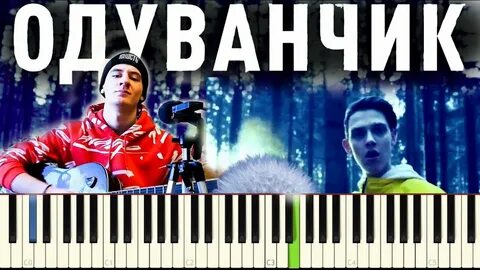 Тим тима белорусских одуванчик