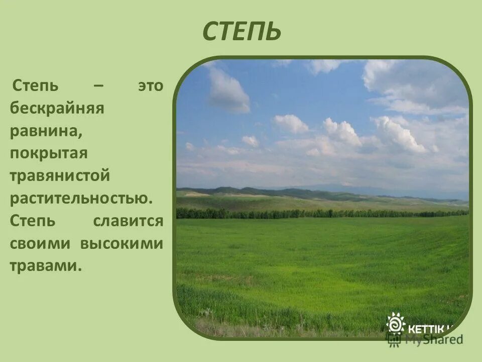 Проект степи - Basanova.ru