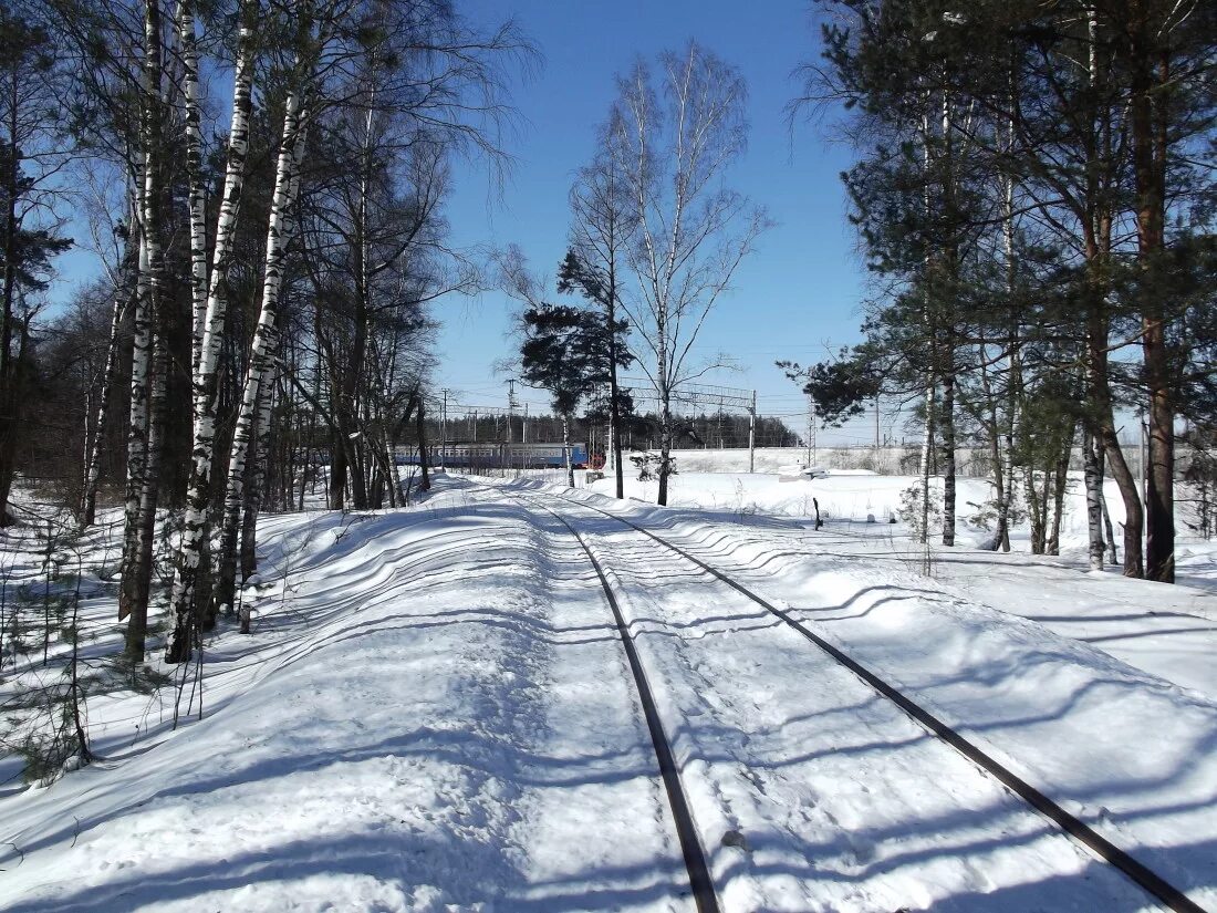 фрязево погода сегодня