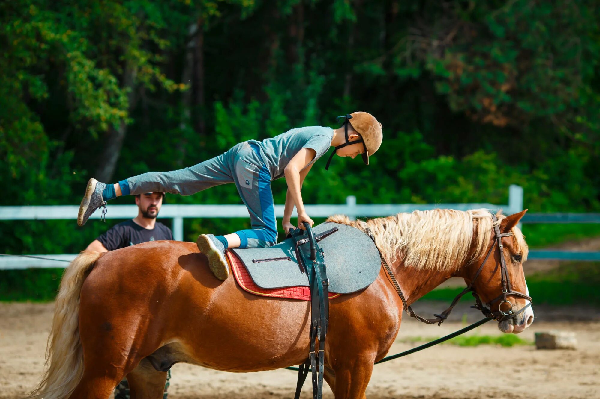 Riding camp. Конный лагерь Робин Гуд. Лошади в лагере Робин Гуд. Робин Гуд лагерь верховая езда.