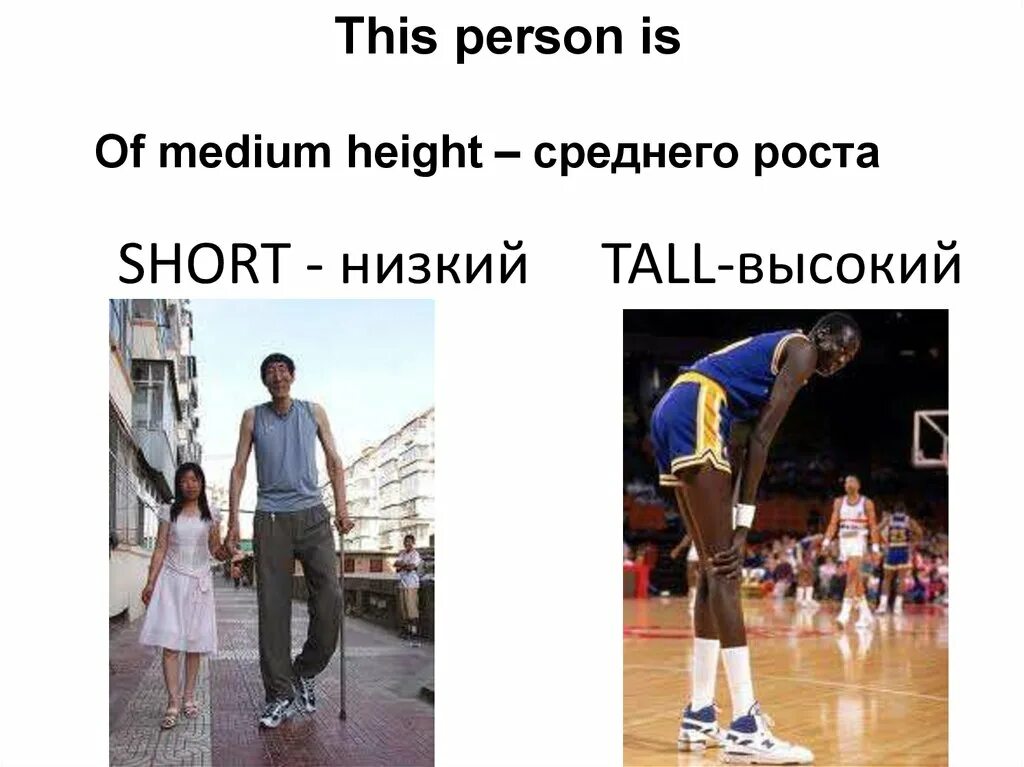 Short низкий. Tall short Medium height. Средний рост на английском. Medium height.