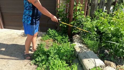 Как избавиться от травы в огороде
