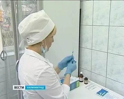 Вести прививки