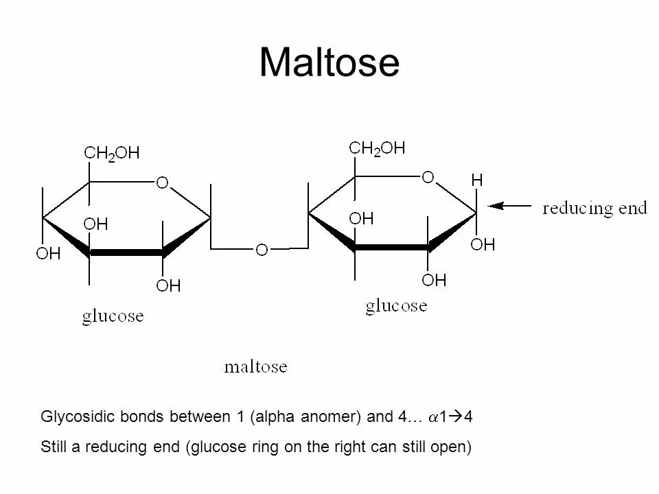 Structure both and. Альфа мальтоза. мальтоза альфа и бета формы. maltose reducing. structure of maltose.