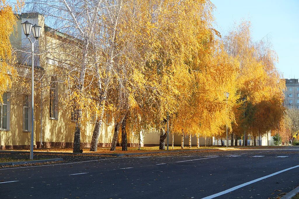 частный дом инвалидов в ульяновске золотая осень