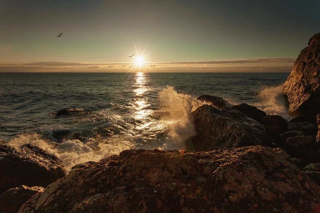 Саксофон и море. Лето вечер море. Lying on the beach sunset. Evening sea. Вечернее море фото.
