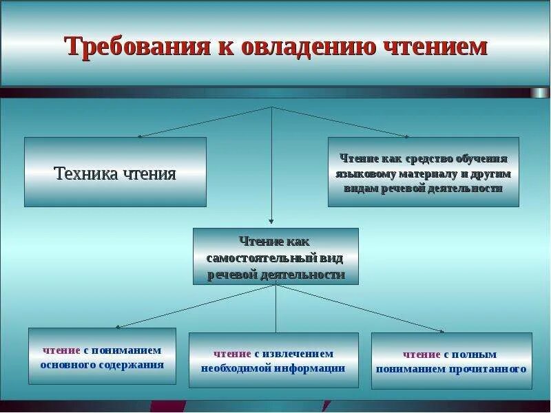 Чтение на начальном этапе. Чтение это вид речевой деятельности. Виды чтения на уроках английского. Виды чтения на иностранном языке. Требования к чтению.