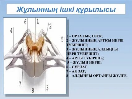 Орысша аудармасы бар ретро порно видео