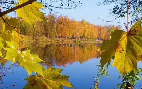 Роща поэтов