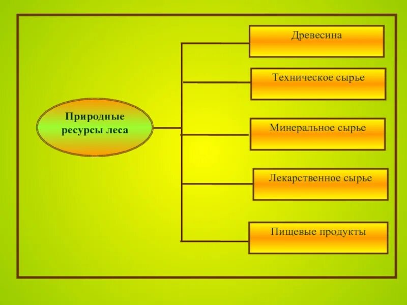 Какова роль леса в жизни человека. Роль леса в биосфере. Функции леса в биосфере. Функции лесов в биосфере. Роль лесов в жизни биосферы.