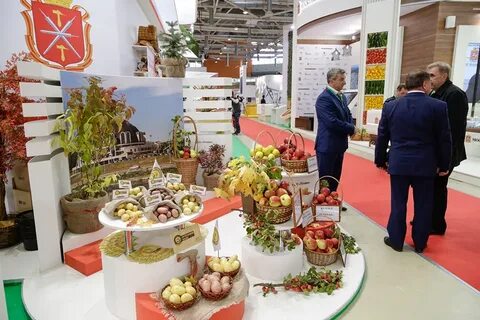 Выставка золотая осень картинки