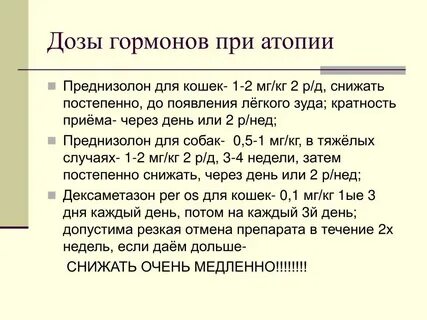 Преднизолон для кошек