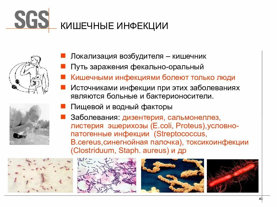 Кишечные инфекции тесты с ответами