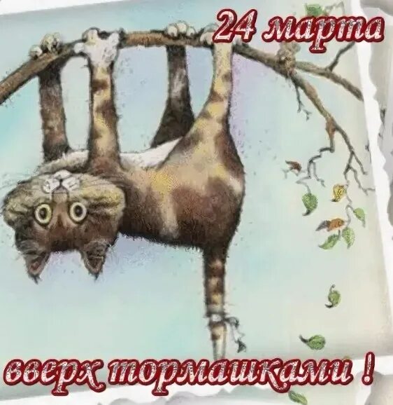 Вверх тормашкой. День вверх тормашками. вверх тормашками рисунок.