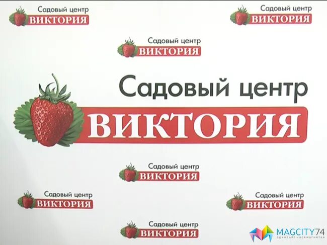 Каталог сад виктории. Каталог сад виктории. Садовая фирма. Каталог сад виктории. Каталог сад виктории.