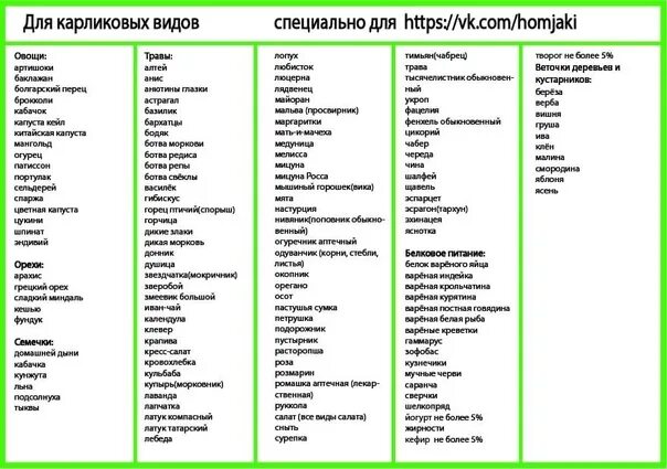 Можно давать хомякам огурец. Список разрешённых продуктов для карликовых хомяков. Список разрешенных продуктов для хомяков. Какие овощи можно хомякам. Какие фрукты можно джунгарикам.