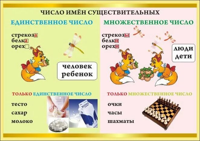 Устаревшие формы множественного числа имен существительных. Имя существительное формы единственного и множественного числа. Родительный падеж множественного числа правило. Род и число имен существительных. Прилагательные в сказке о рыбаке и рыбке.