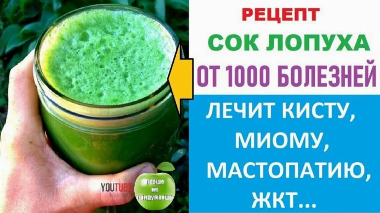 Лопух от кисты. Сок лопуха от кисты. Сок лопуха от 1000 болезней. Как принимать сок лопуха. Сок листьев лопуха лечебные.