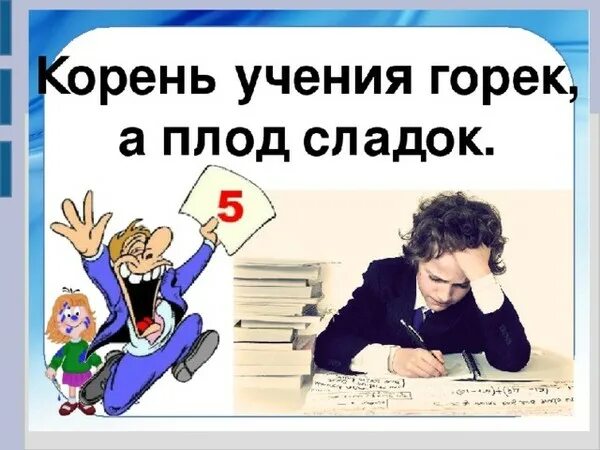 Значение пословицы корень учения горек. Корень учения горек да плод его сладок. корень учения горек а плод его. корень учения горек да плод его сладок рисунок. пословица корень учения горек да плод его сладок.