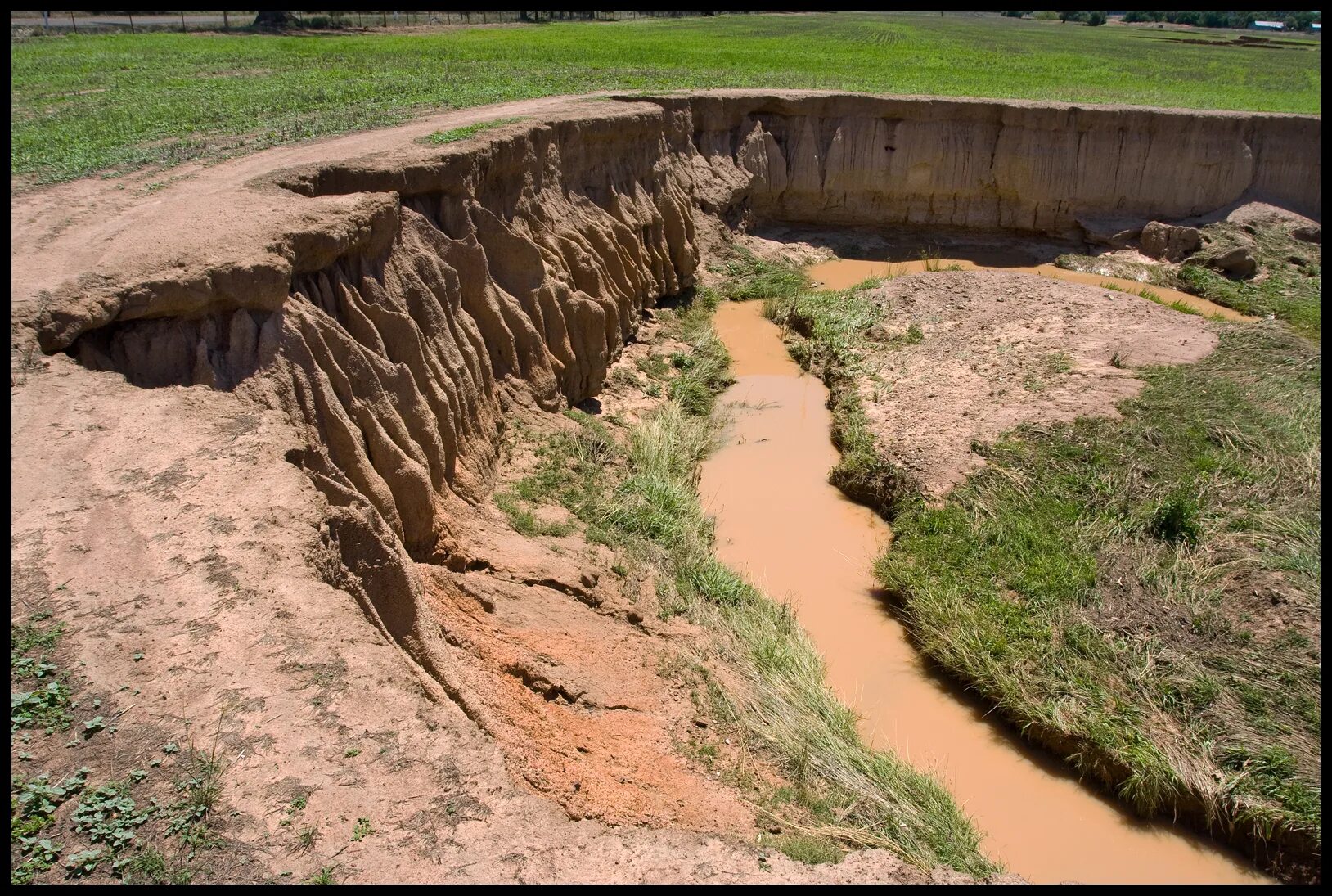 Водная эрозия почв. Водная эрозия почвенного слоя. Вымывание, водная эрозия прибрежного грунта;. Овражная эрозия. Размываемая почва