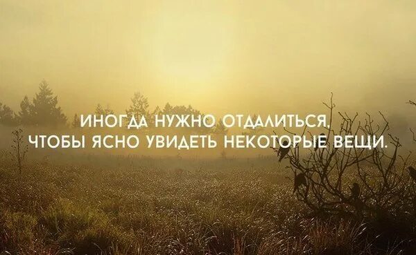 Отстранись от всех цитаты. Иногда нужно отдалиться чтобы ясно увидеть некоторые вещи. Отстранился цитаты. Иногда нужно отстраниться от человека.