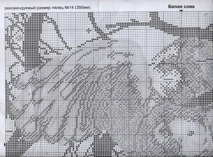 Белая сова схема