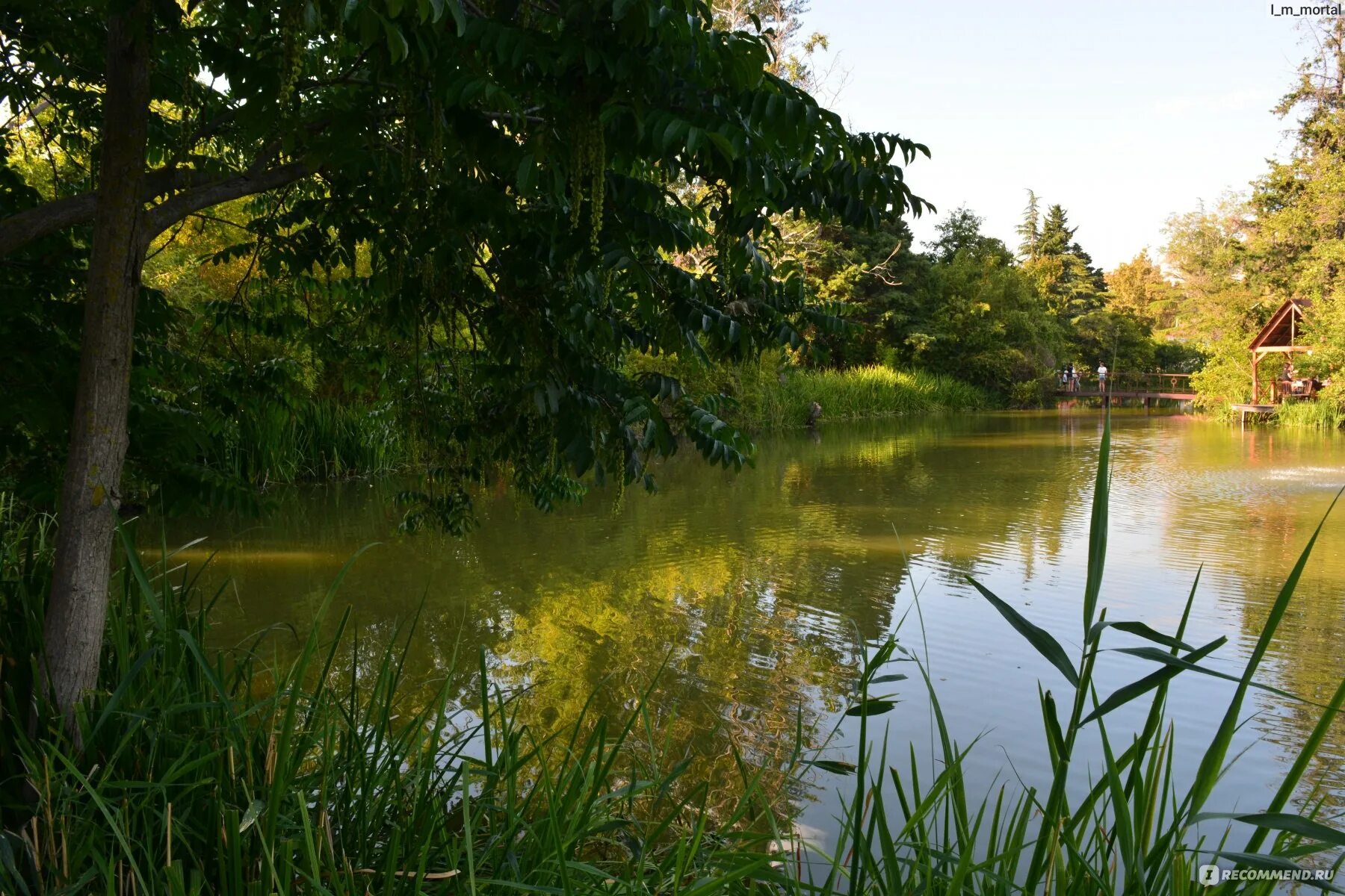 Отель Парк-отель Озеро Дивное (Park Hotel Ozero Divnoe) 3* (Лазаревское) - брони