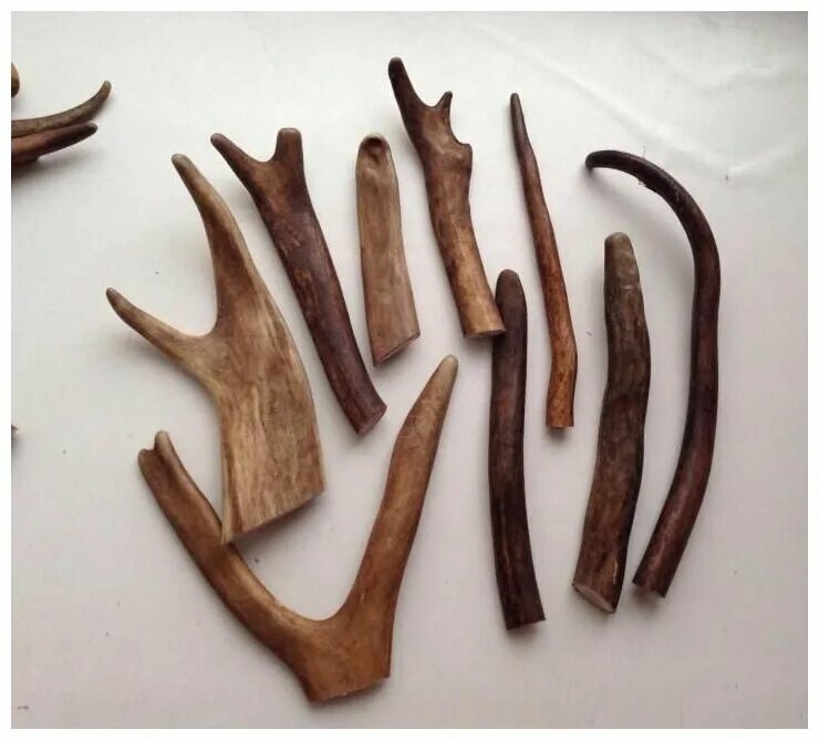 Сигнальный горн музыкальный инструмент. Каждый рог. Горн из рога барана. Горн скандинавский. Рога животных.