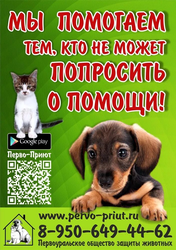 Первоуральский приют для бездомных животных. Городской первоуральский приют для животных. Первоуральский приют для бездомных животных. Сбор помощи в приют. Объявление о сборе помощи для бездомных животных.