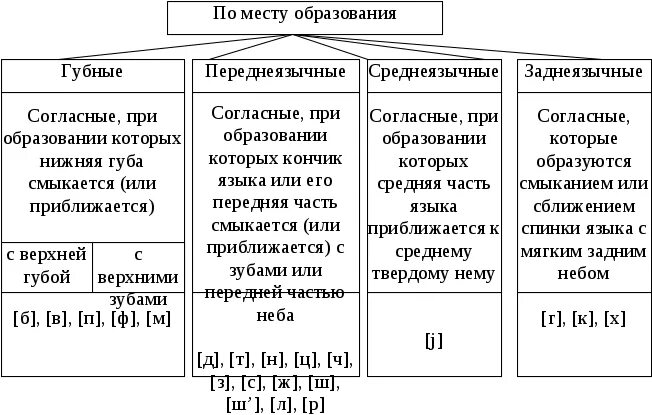 Артикуляционная классификация согласных звуков таблица. Классификация согласных звуков по месту образования таблица. Артикуляционная классификация гласных таблица. Артикуляционная классификация звуков гласные.