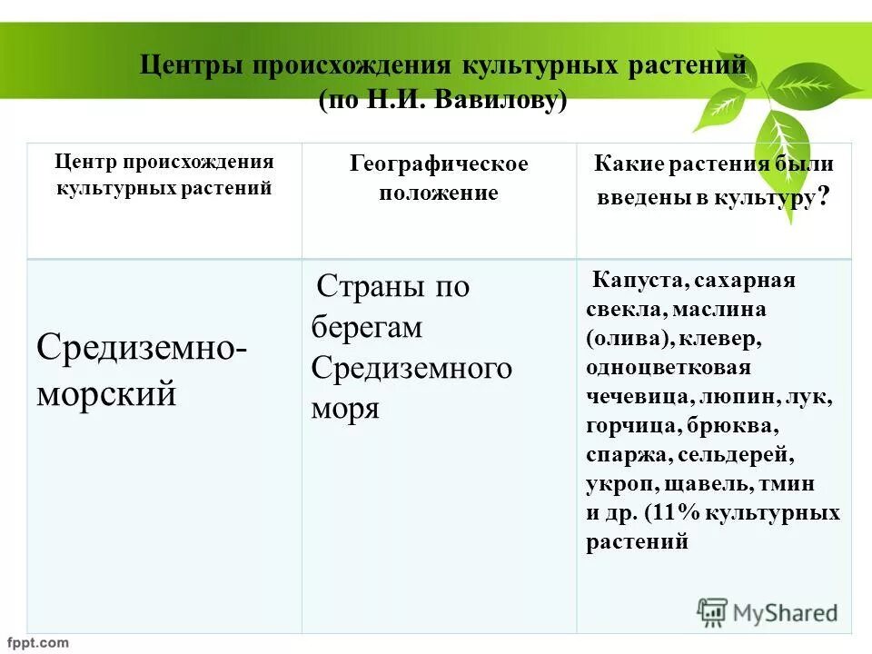 Маслины центр происхождения. Центры происхождения растений. происхождение культурных растений. центры происхождения культурных растений. центры происхождения культурных растений вавилова.