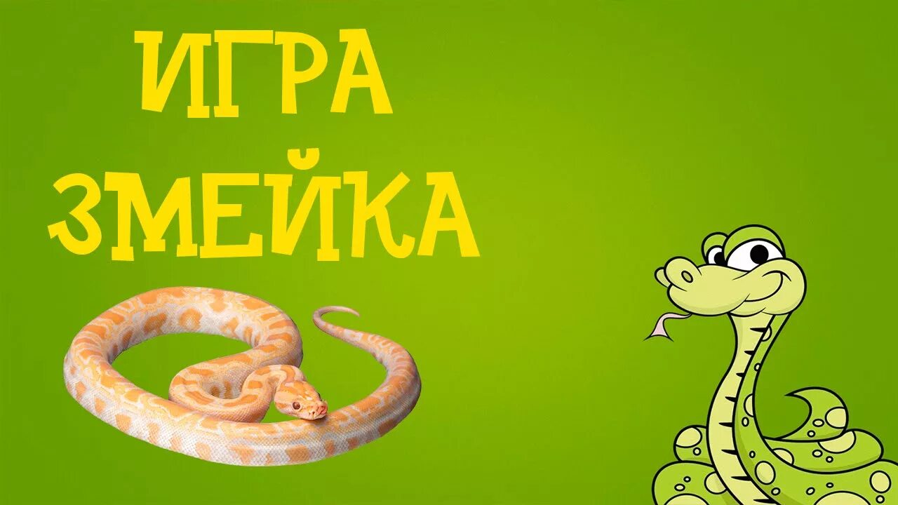 Правила змейки. Змейка игра. Змейка игра картинки. Змейка для игры змейка. Голова змейки для игры.