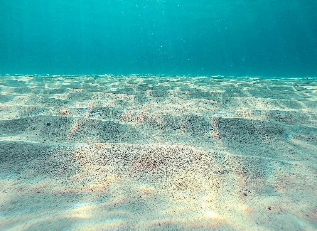 Неглубокое море. Морское дно. Дно океана. Песчаное дно океана. Море под водой.