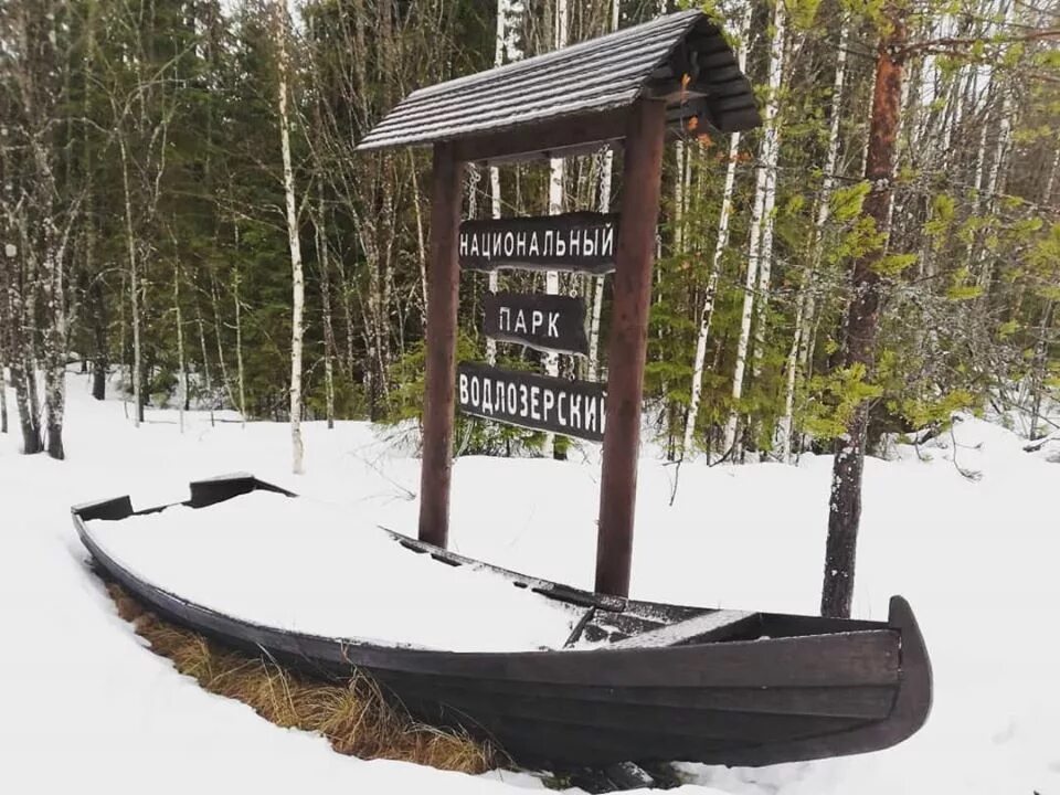 Водлозерский национальный парк. Водлозерский парк Карелия. Водлозерский парк Архангельск. Национальный парк Петрозаводск. Водлозерский парк сайт