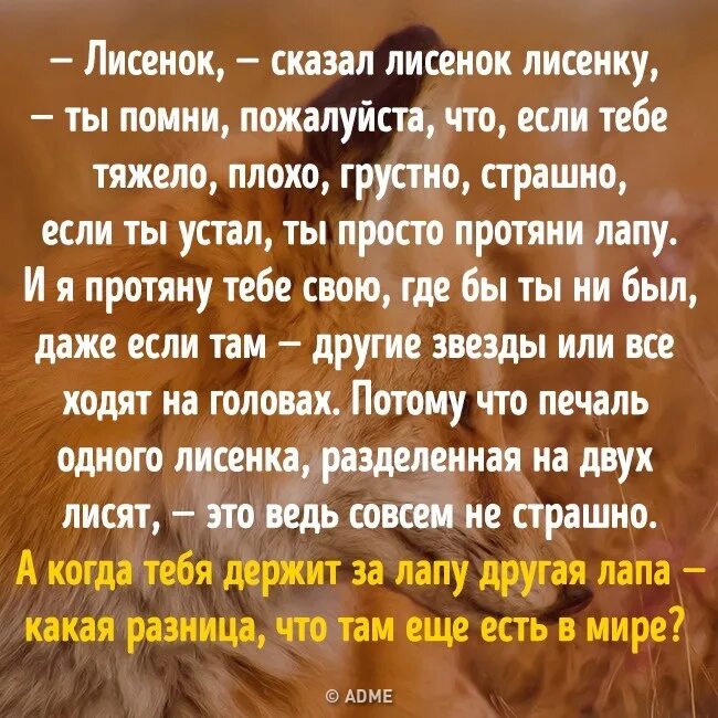 Лисенок сказазал Лисенок илсенку. Лисенок лисенку сказал ты. Лисенок сказал протяни лапу. Лисенок сказал лисенку Лисенок ты Помни пожалуйста.