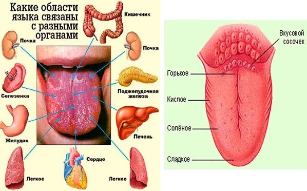 Как определить больной орган. Заболевания по цвету языка. Болезни по языку определить.